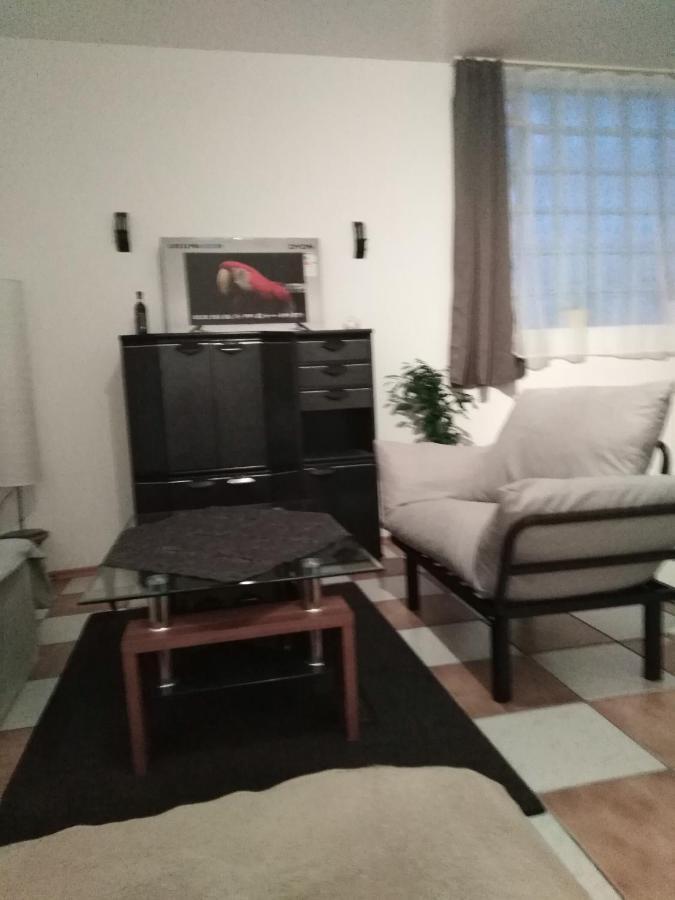Studiowohnung, Neu Renoviert, Zentrale Lage Saarlouis Exterior photo