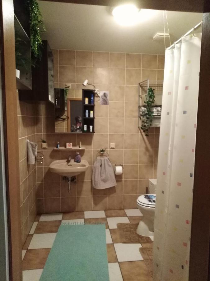 Studiowohnung, Neu Renoviert, Zentrale Lage Saarlouis Exterior photo